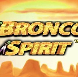 Bronko Ruhu