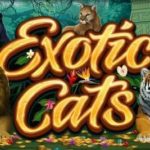 Exotic Cats