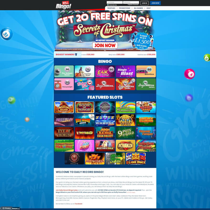 Daily Record Bingo screenshot 1